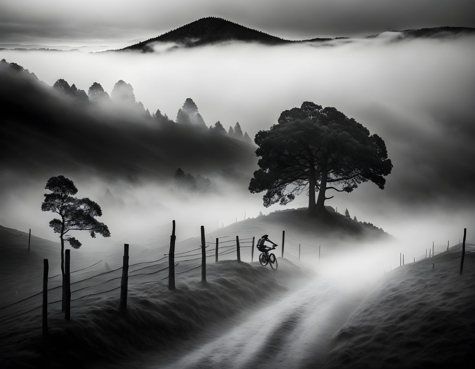 Cyclist on misty path with rolling hills and tree in foggy landscape