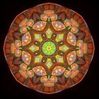 Colorful Fractal Image with Symmetrical Floral Motifs