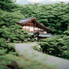 Japanese Traditional Building Surrounded by Pine Trees and Pond