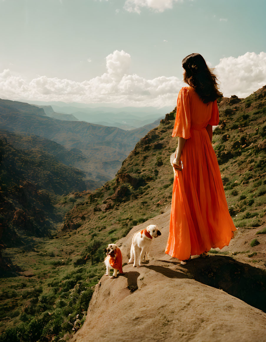 Woman in Orange Dress with Two Dogs on Mountain Ridge Viewing Sunlit Valley