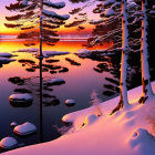 Tranquil snow-covered pines and lake at dusk