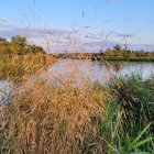 Tranquil lake landscape with lush greenery