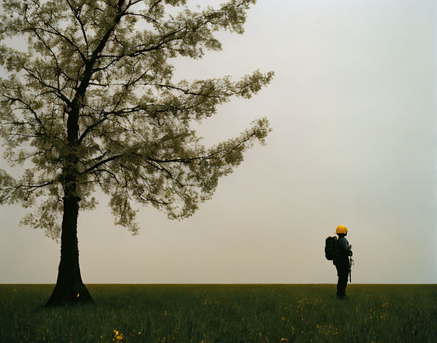 Astronaut in spacesuit under blossoming tree in tranquil field