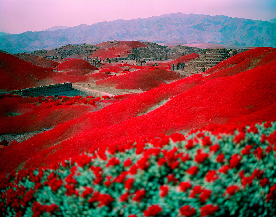 Scenic landscape with red flowers, village, and mountains