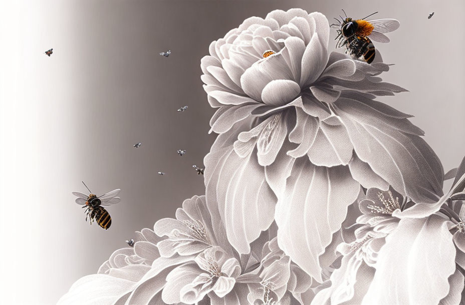 Stylized flowers with bees in monochrome on gradient grey background