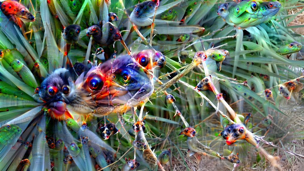 Baby birds plant