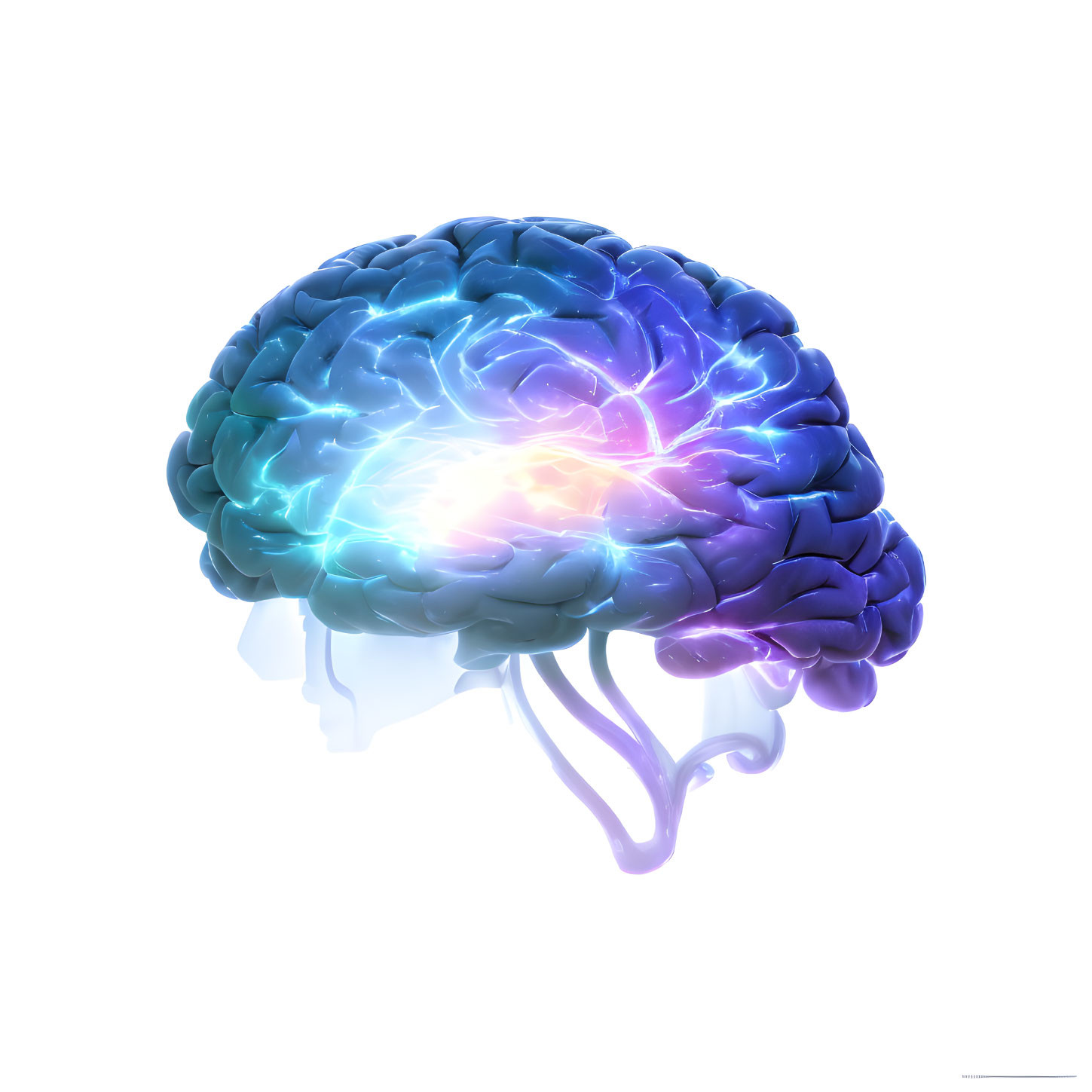 Digitally rendered human brain with highlighted lobes in blue and purple hues