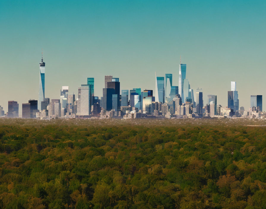 Urban skyline with skyscrapers towering over green treetops under clear blue sky