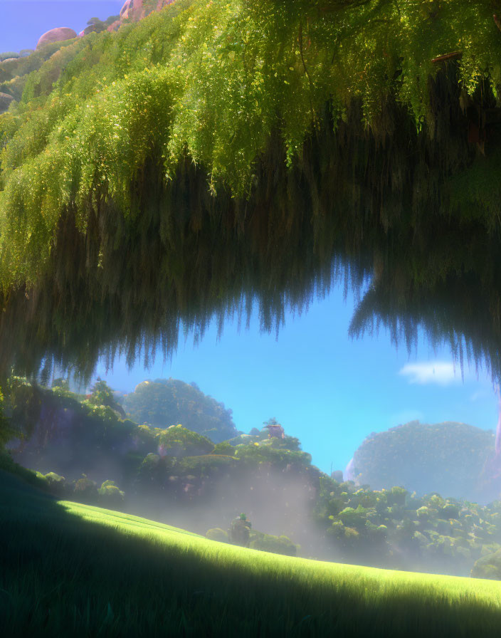 Lush Hanging Foliage Over Misty Forest and Green Meadow