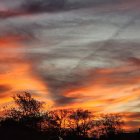 Dramatic red and orange sunset silhouettes trees and buildings.