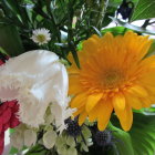 Colorful Garden Flowers Featuring Yellow Gerbera and White Pink Blossoms