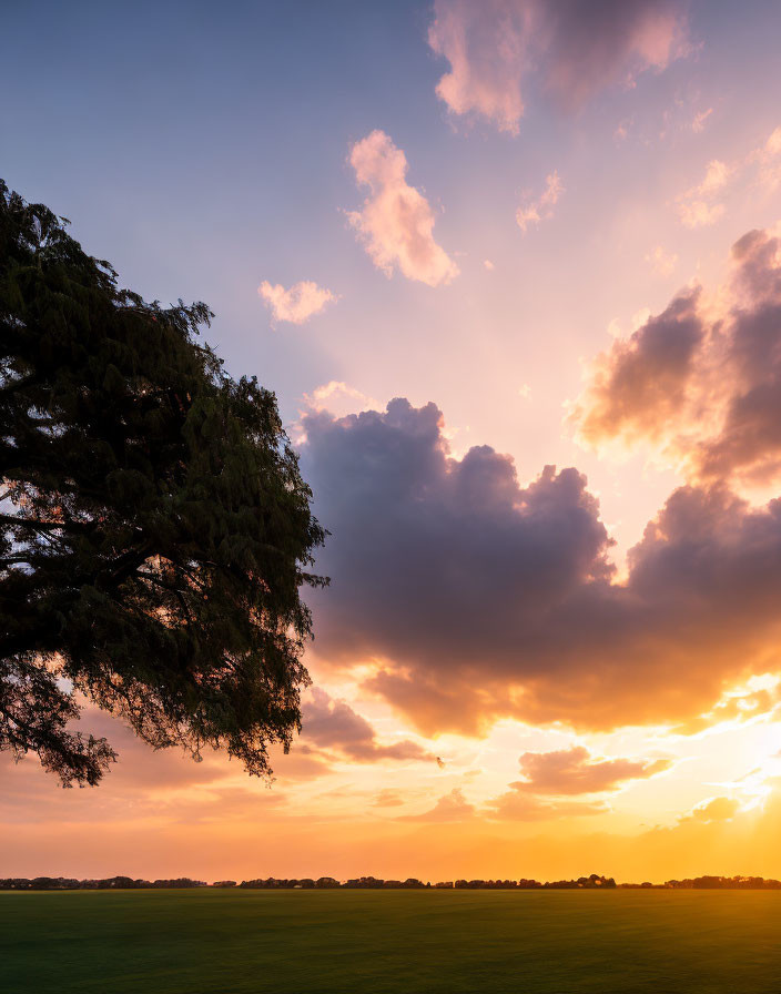 Colorful sunset with sunbeams through clouds near lone tree in serene field