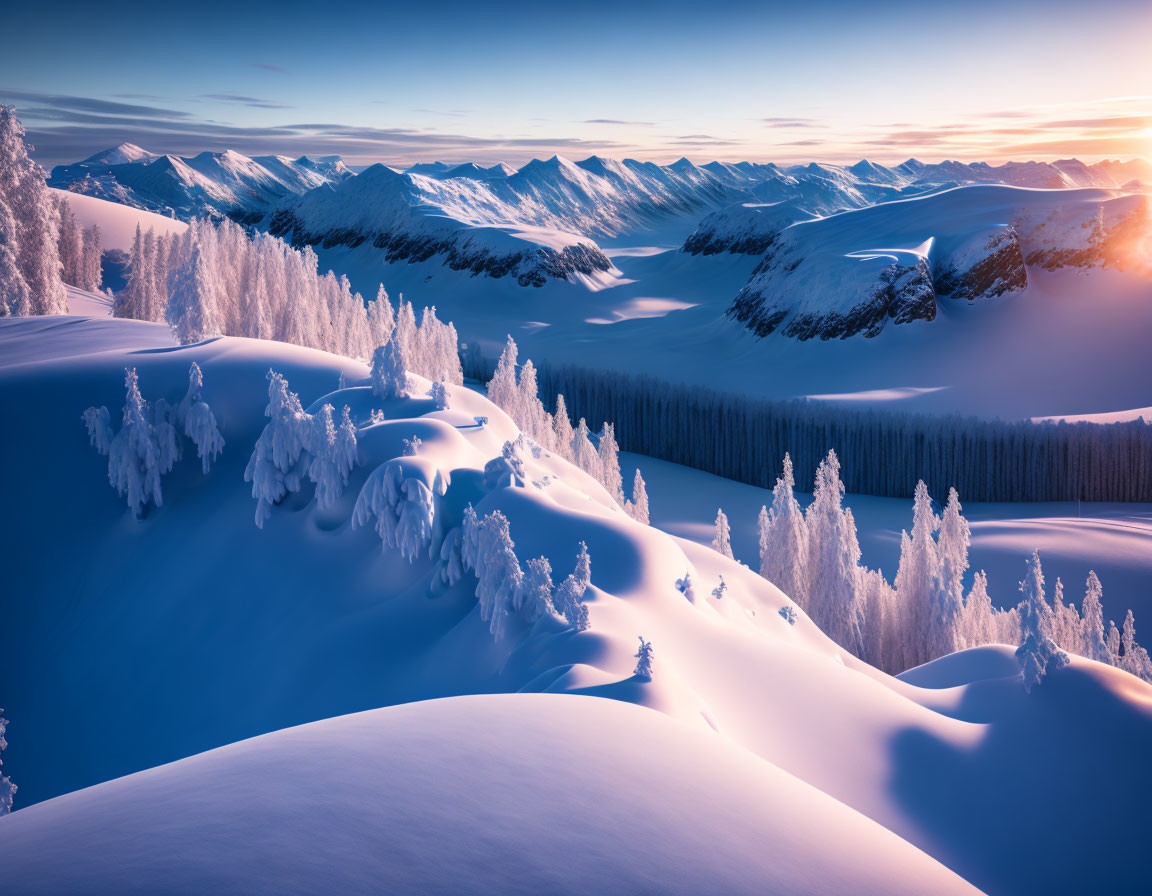 Scenic snow-covered pine trees and mountain ranges at sunrise or sunset