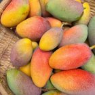 Ripe, Colorful Mango Cluster on Tree Branch