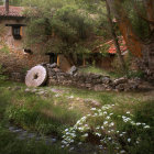 Rural Sunrise Scene: Thatched Cottages, Stream, Water Wheels, Wildflowers