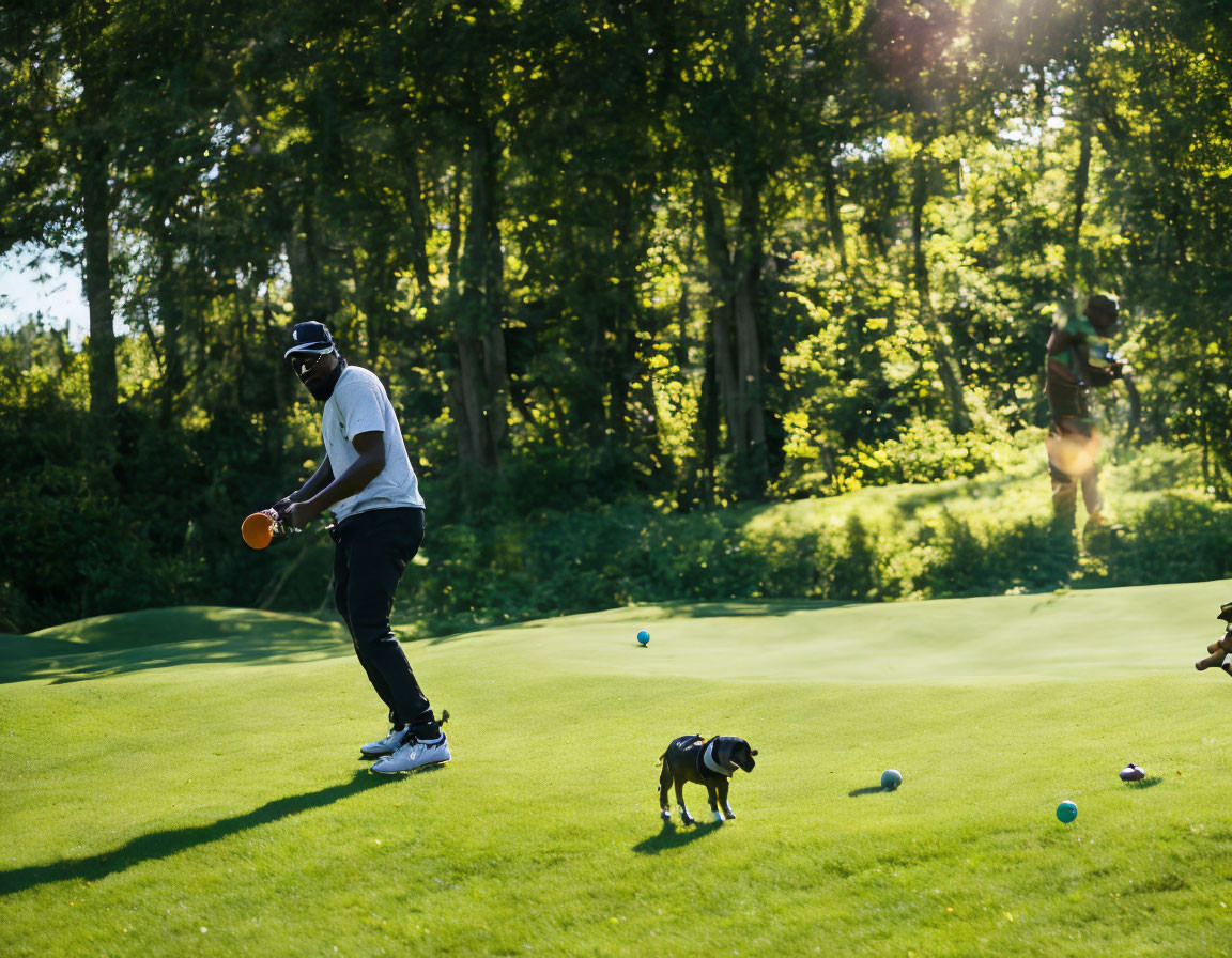 Sunny park scene with person, dog, and ball ready for hit