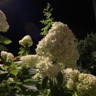 Solemn statue with white flowers on mystical background