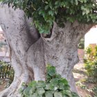 Woman blending into ancient tree in mystical forest with wildlife: a harmonious connection with nature.