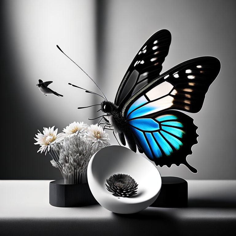 Blue butterfly on white flowers with bird and reflective sphere