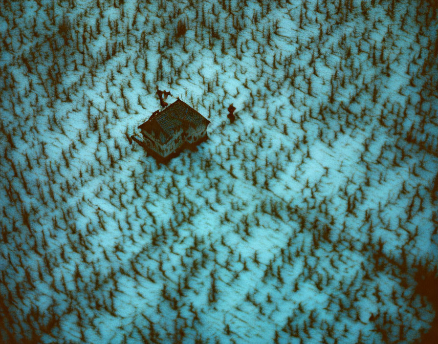 Snow-covered trees surround lone cabin in aerial view