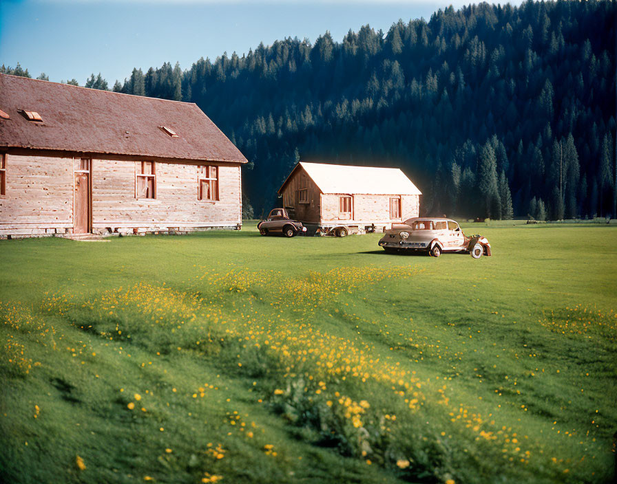 Vintage Cars Parked Near Wooden Houses in Lush Green Meadow