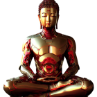 Golden meditating figure with anatomical cutaway designs and heart motif