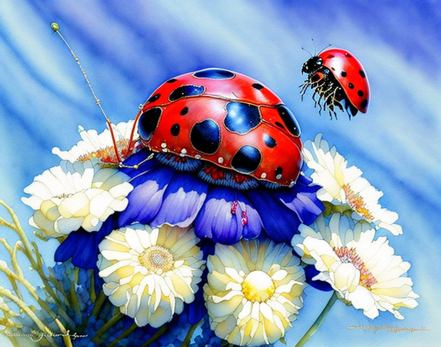 Colorful ladybug illustration on white daisies with blue backdrop