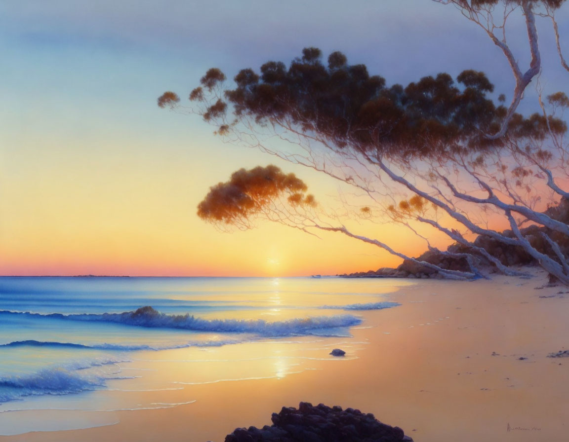 Tranquil beach scene at sunset with eucalyptus trees, gentle waves, and past