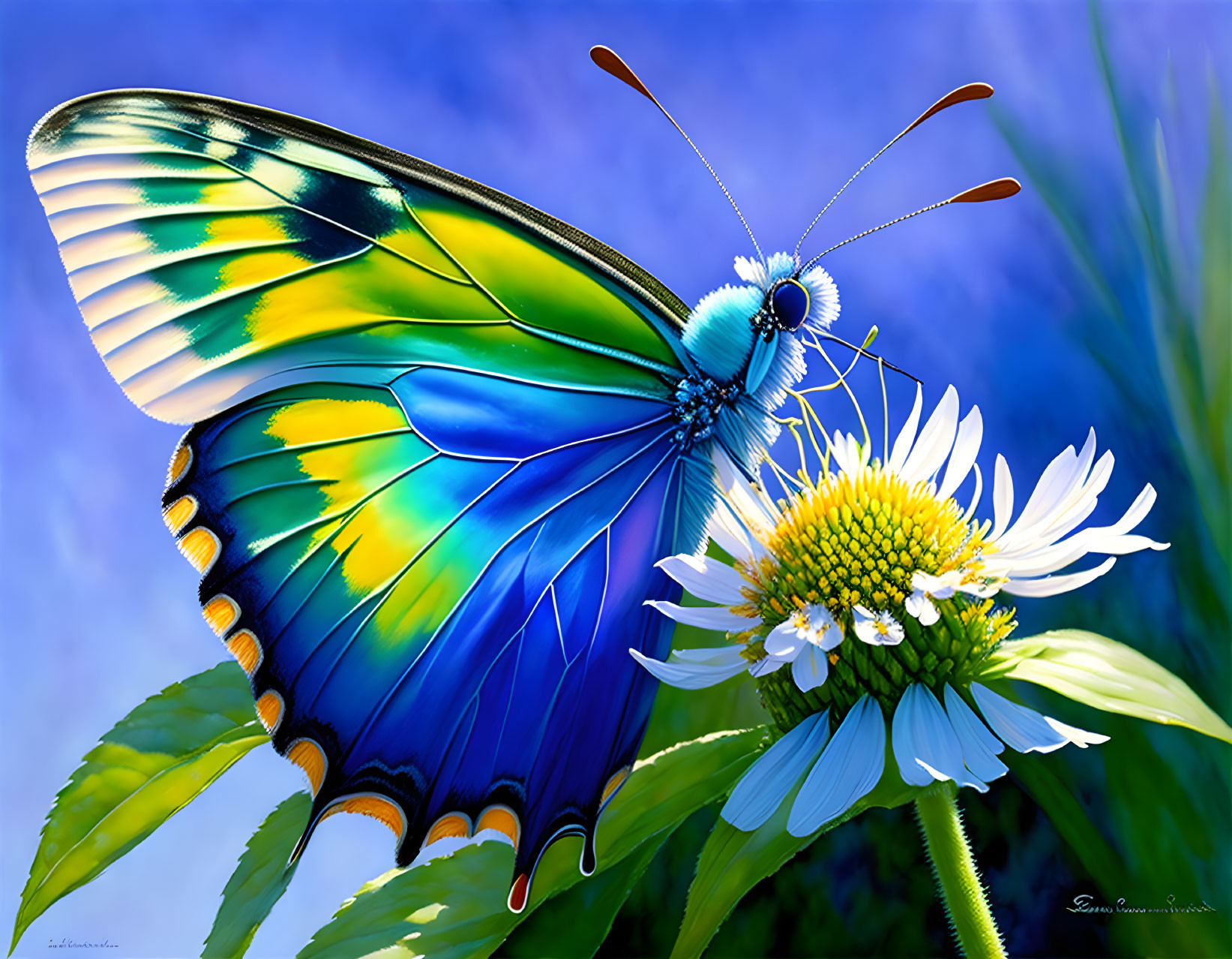 Colorful Butterfly on Daisy in Digital Illustration