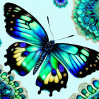 Colorful butterfly digital art with intricate wings and floral backdrop