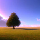 Golden field at dusk with solitary tree under pink and purple sky.