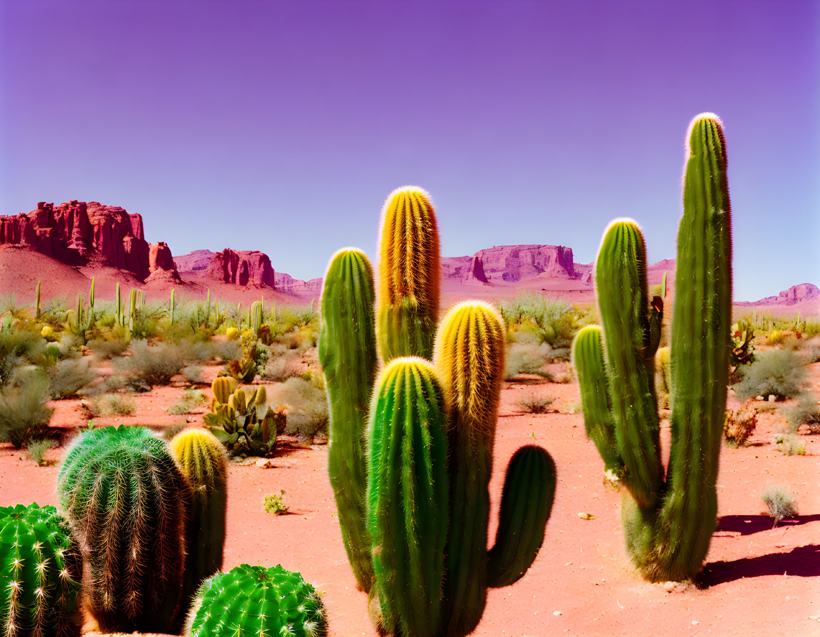 Desert landscape with cacti and red rock formations