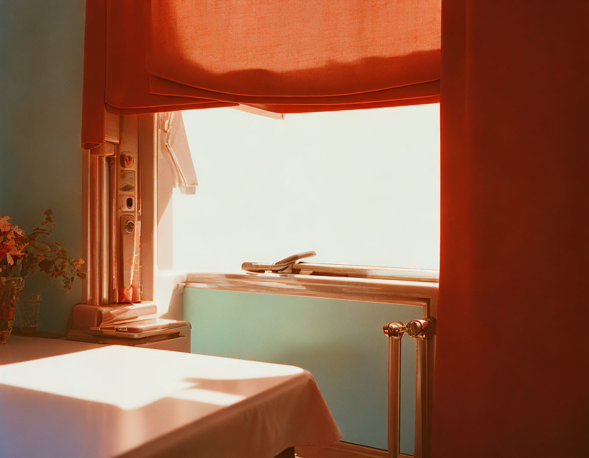 Sunlit room with plant on table: Serene ambiance captured.