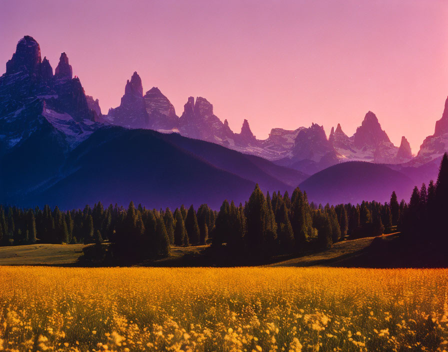 Scenic sunset landscape with mountain silhouettes, yellow flowers, and pink sky