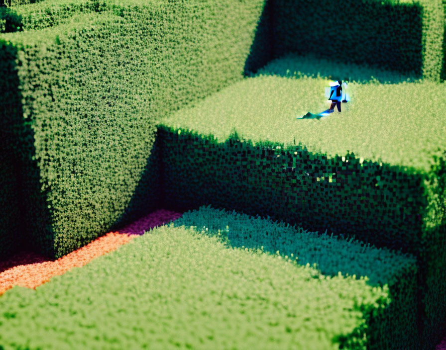 Person in Blue and White Outfit in Large Green Hedge Maze