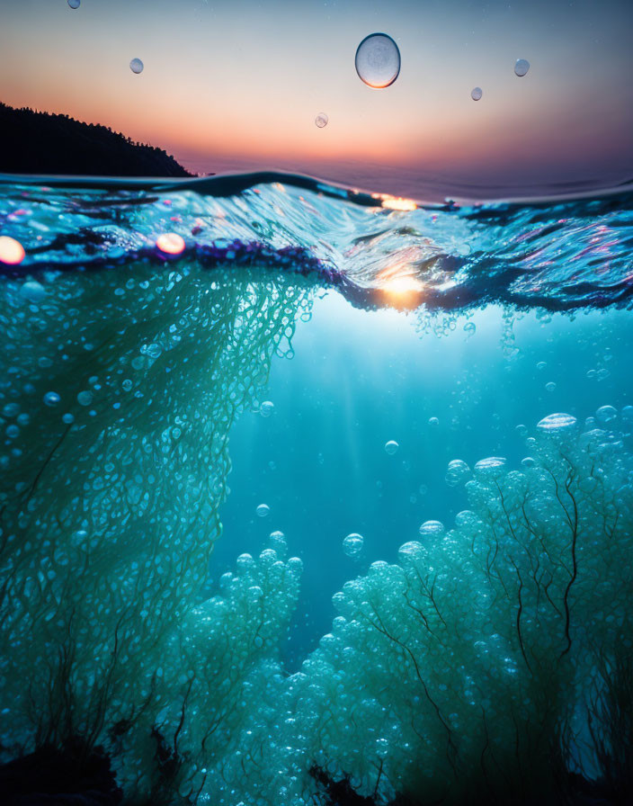 Underwater Split View: Jellyfish and Twilight Sky above Water