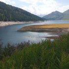 Scenic landscape with wildflowers, hills, trees, and mountains