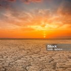 Vivid Sunset Over Tranquil Field of Wildflowers