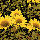 Bright Yellow Flowers Surrounded by Field of Blooms and Green Foliage