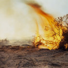 Village on Fire with Traditional Buildings Engulfed in Flames