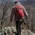 Person with hat and orange backpack hiking in vibrant forest with stylized trees and mountains