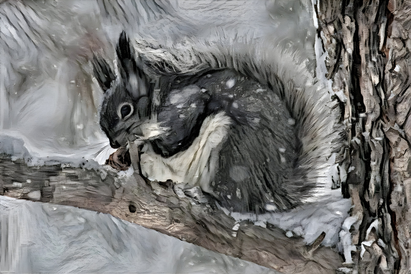 Abert's squirrel