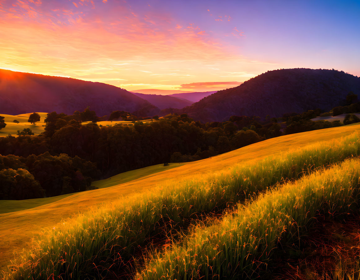 Scenic valley sunset with purple, orange, and yellow sky