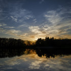 Surreal golden tree reflected on water at twilight