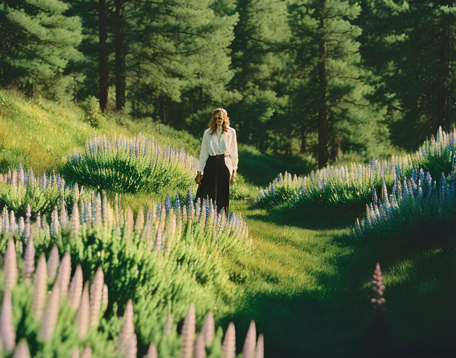 Person standing in purple lupin field with green trees under sunlight