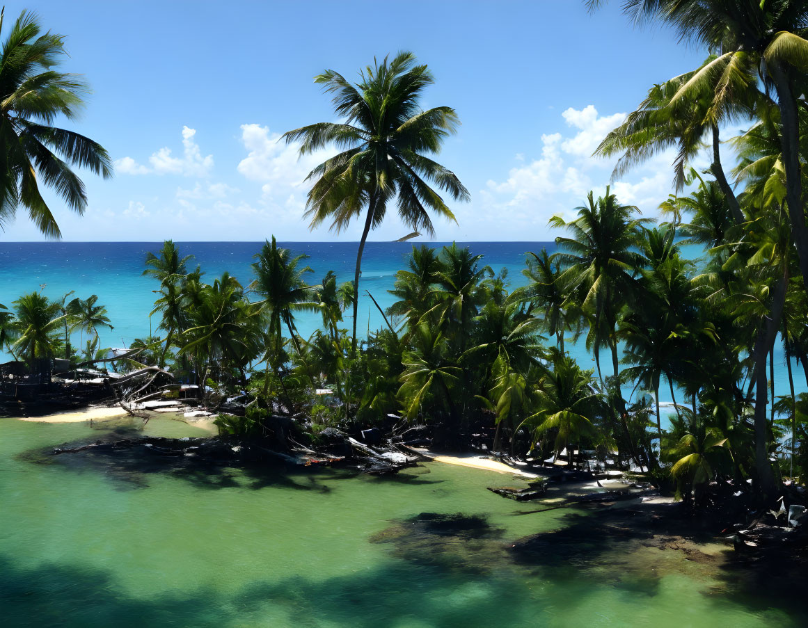 Sunny Tropical Beach with Palm Trees and Blue Water