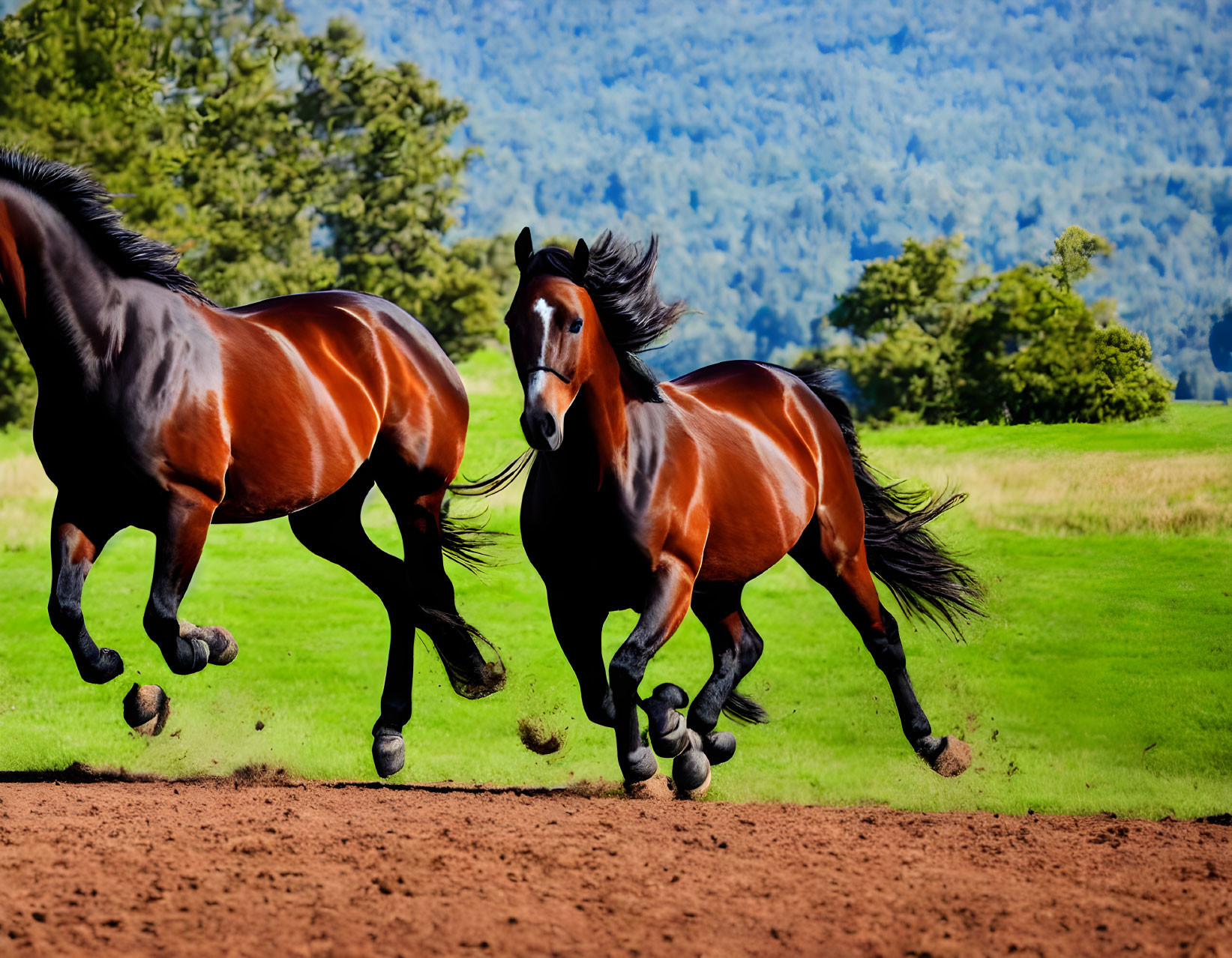 Two galloping horses in lush green field with trees and blue sky