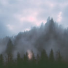 Ghostly figure in foggy forest with pink sun and misty trees.