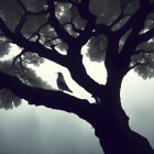 Bird perches on intricate tree silhouette in mystical setting