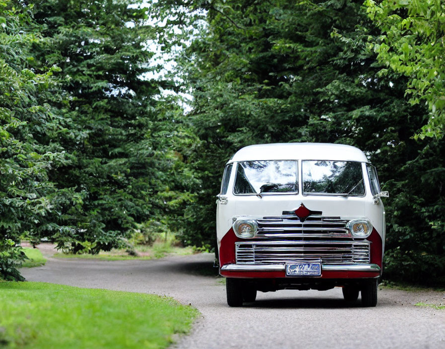 Vintage Red and White Van on Tree-Lined Road